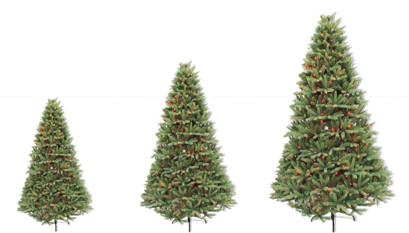 Tree Height 10ft - 12ft (+$200)