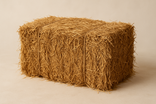 Hay Bale – 18in x 15in x 32in ($40) Rustic texture and structure for seasonal styling. Perfect as a base for pumpkins or florals.