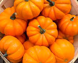 Mini Pumpkins 25lb bag