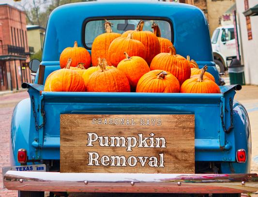 Pumpkin Pick-up & Removal Package (Tier 1)